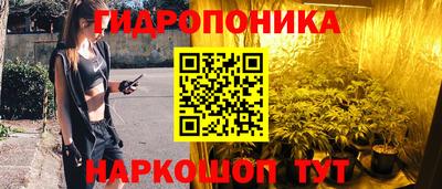 jwh Кинель