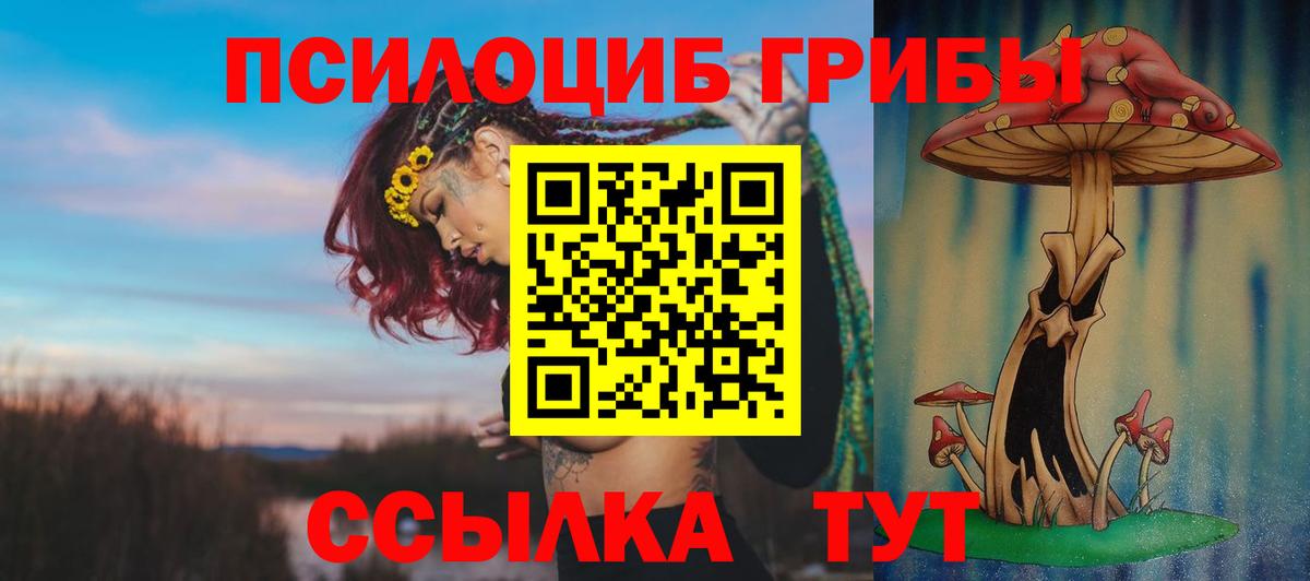 Галлюциногенные грибы прущие грибы  Вход с VPN  Красноуфимск 